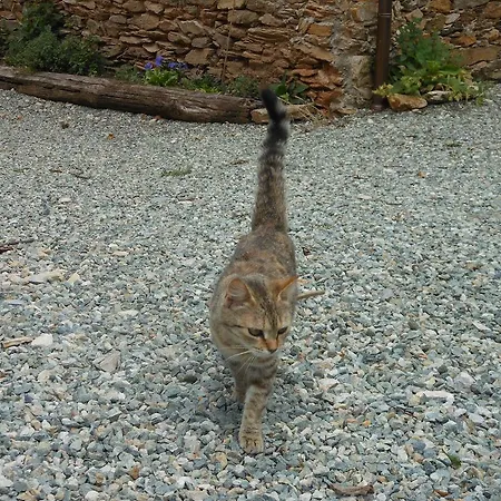 Le Lasarde Farm stay