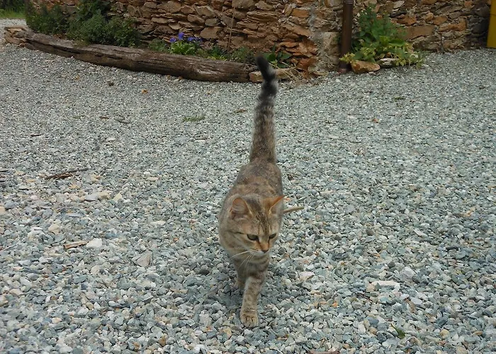 Le Lasarde Farmház
